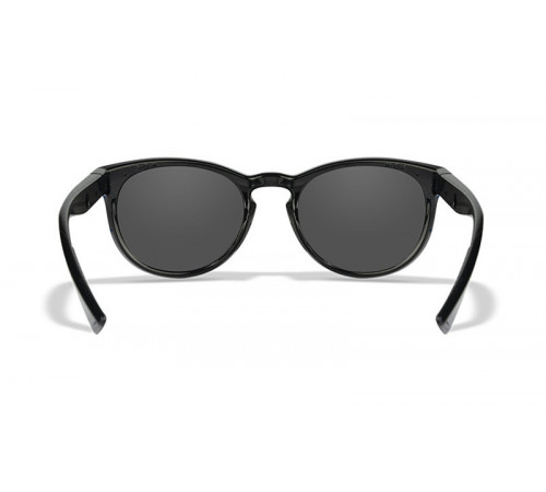 Очки WILEY X COVERT в Москве Rusdefense.ru