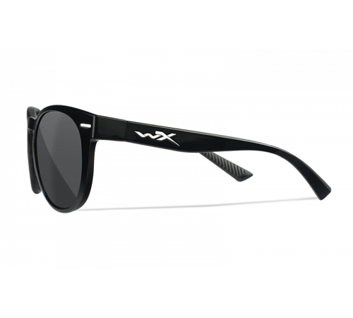 Очки WILEY X COVERT в Москве Rusdefense.ru