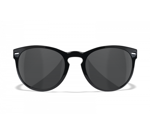 Очки WILEY X COVERT в Москве Rusdefense.ru