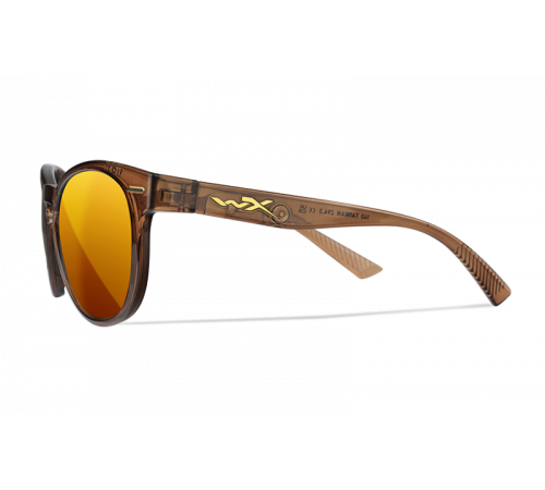 Очки WILEY X COVERT в Москве Rusdefense.ru
