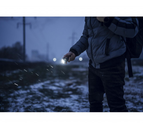 Armytek Bear WRG в Москве