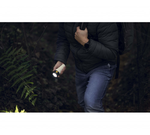 Armytek Bear WRG в Москве