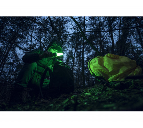 Armytek Bear WRG в Москве