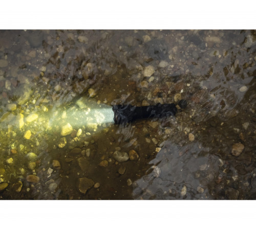 Armytek Viking