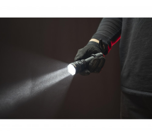 Armytek Viking Pro Max  Rusdefense.ru