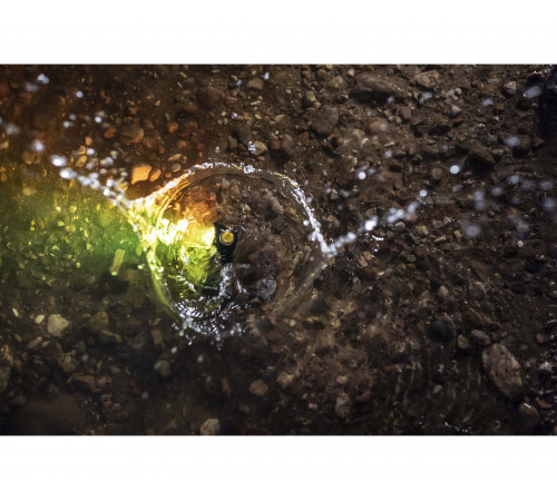 Armytek Wizard C1 WRG  Rusdefense.ru